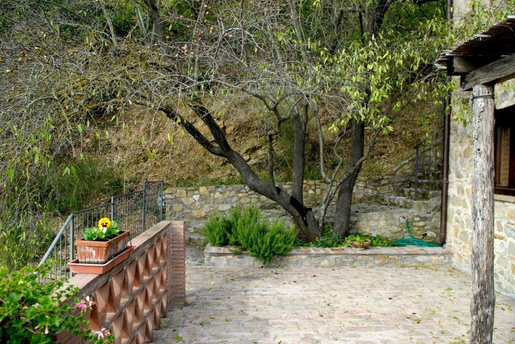 Podere Monte Petreto San Savino  Pokój zdjęcie