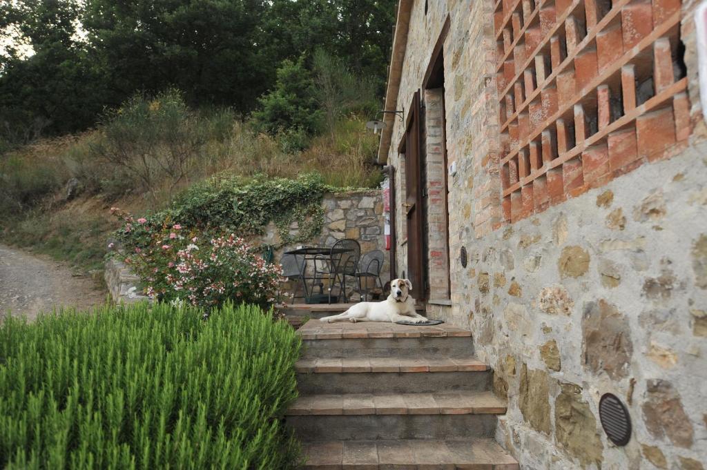Podere Monte Petreto San Savino  Pokój zdjęcie