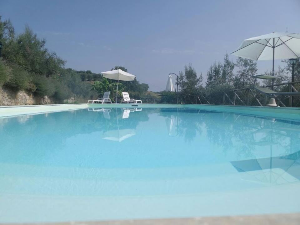Podere Monte Petreto San Savino  Zewnętrze zdjęcie