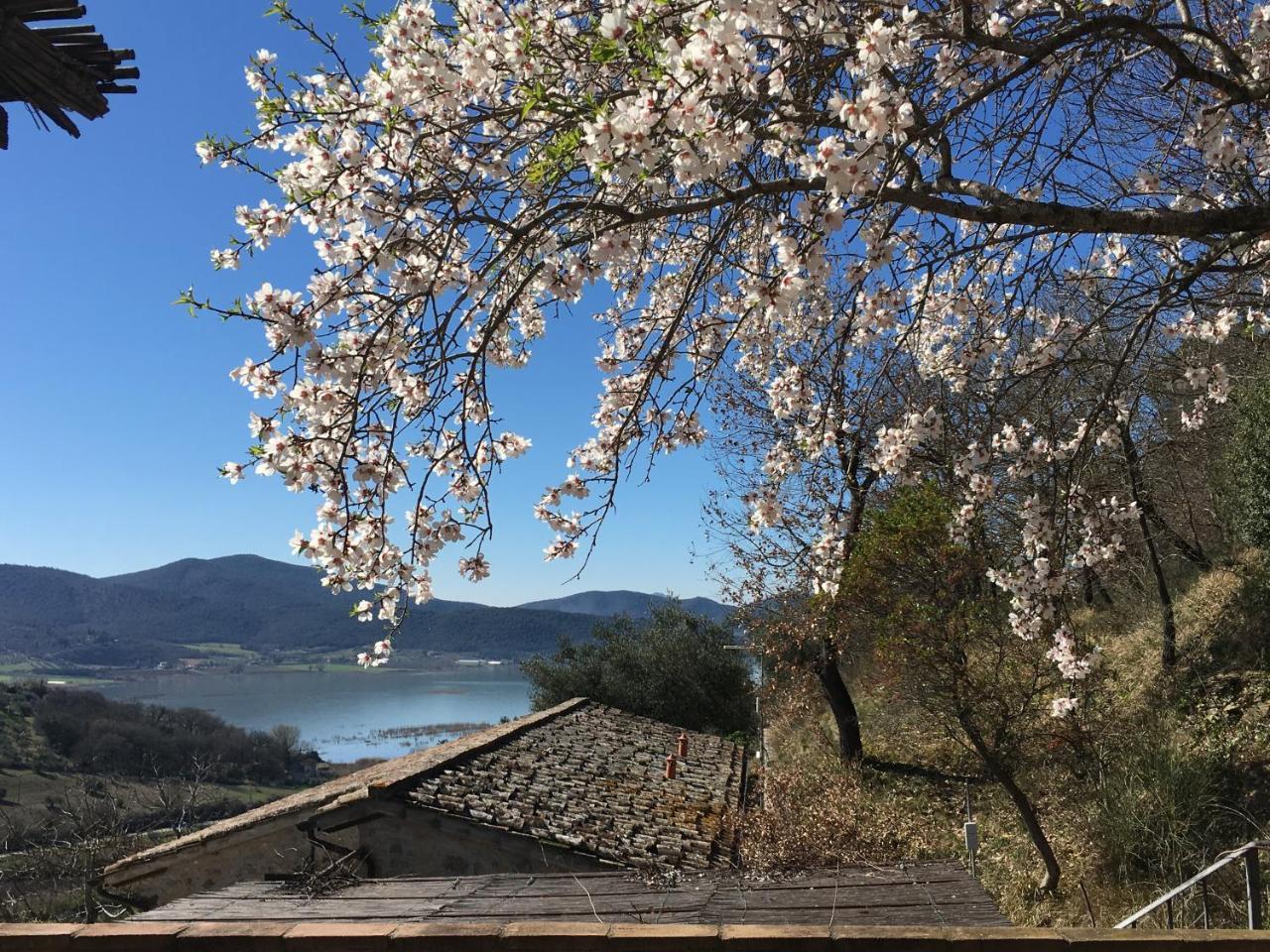 Podere Monte Petreto San Savino  Zewnętrze zdjęcie